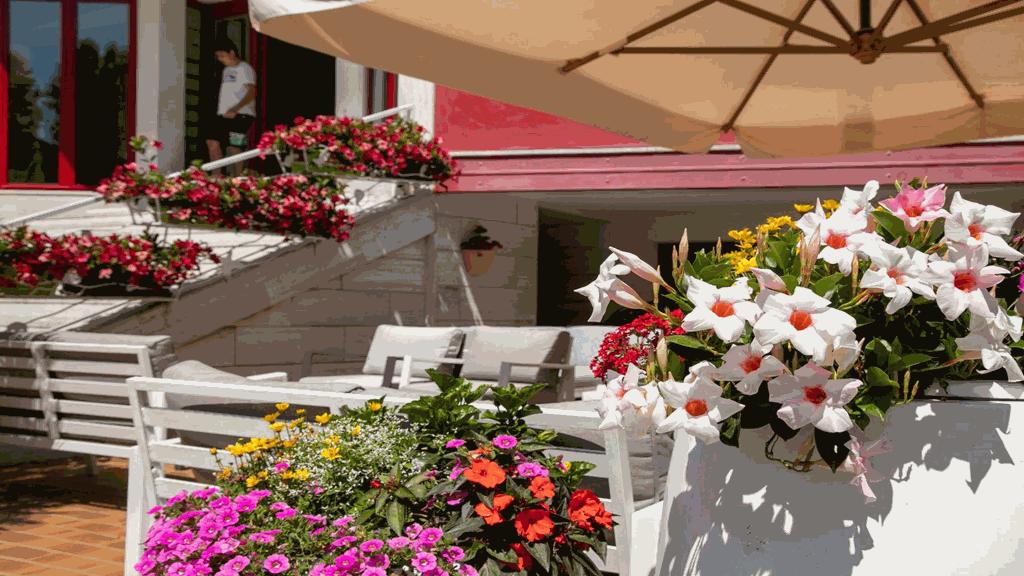 Sofia 3* Lido di Jesolo