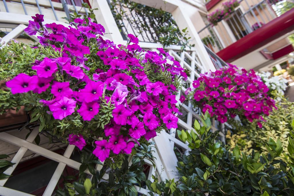 Sofia Lido di Jesolo